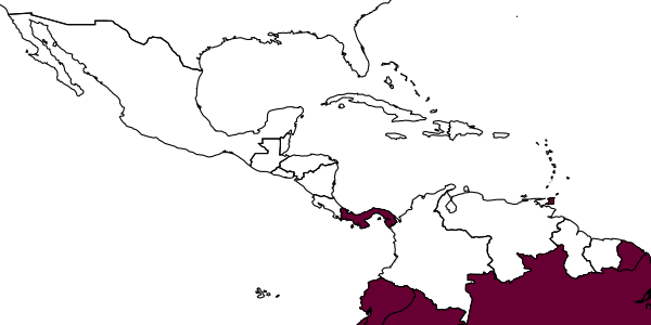 map of Digonocryptus rufigaster     (Szépligeti, 1916)